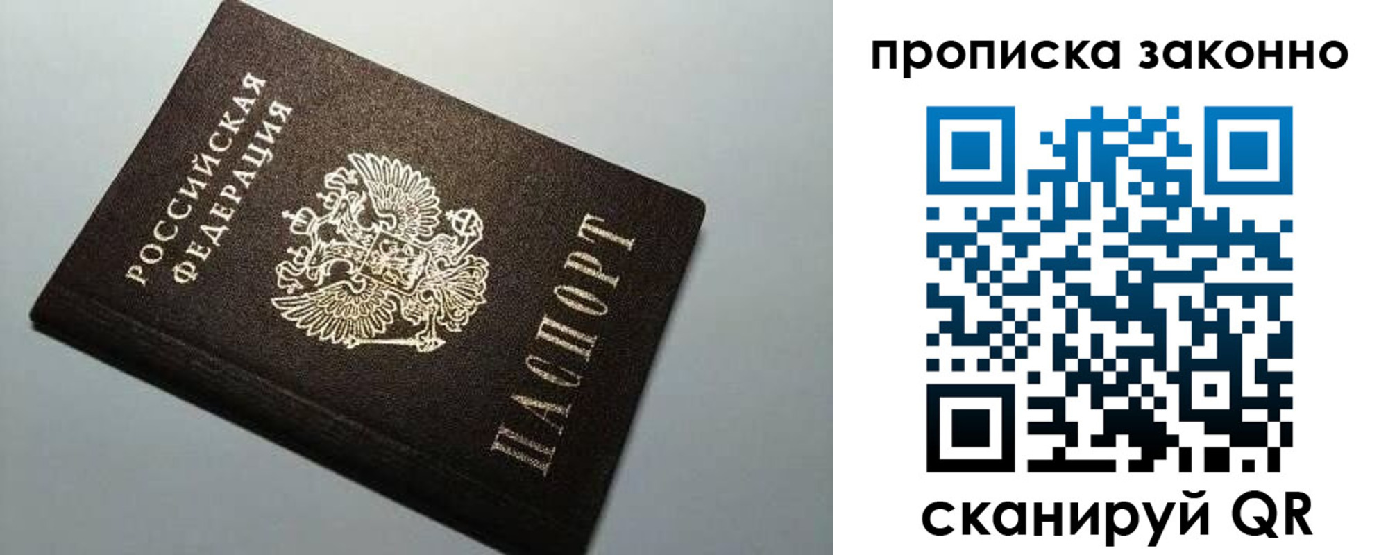 прописка в Судогде