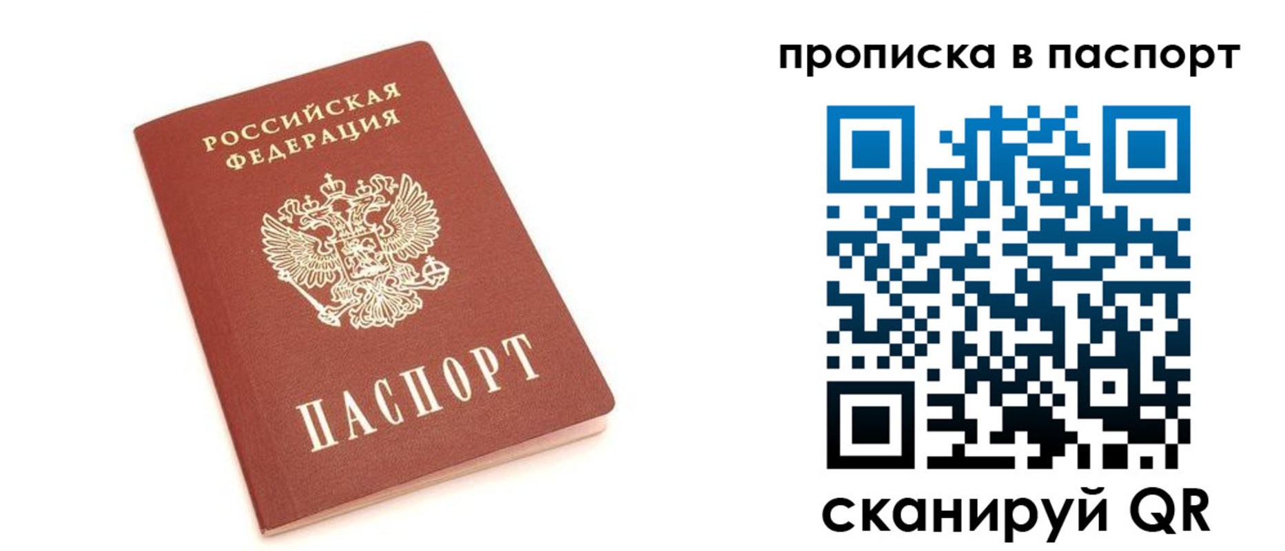 прописка паспорт в Судогде